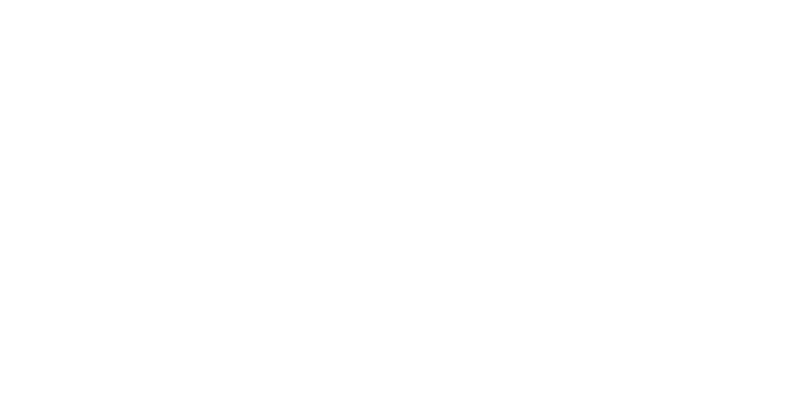 Animation Logo Lisa Barbolosi